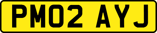 PM02AYJ