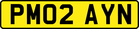 PM02AYN