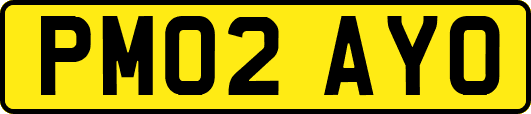 PM02AYO