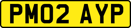 PM02AYP