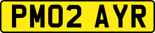 PM02AYR