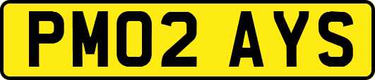 PM02AYS