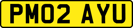 PM02AYU