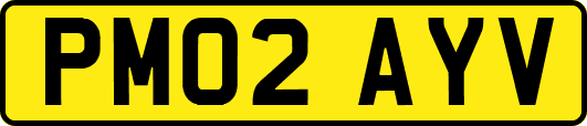PM02AYV