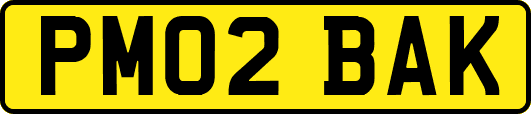 PM02BAK