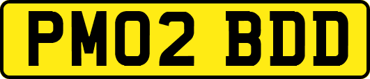 PM02BDD