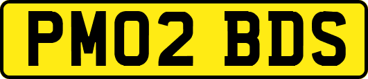 PM02BDS