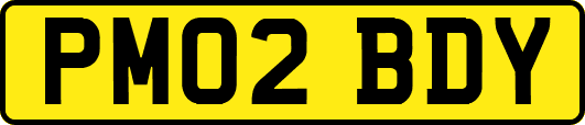 PM02BDY