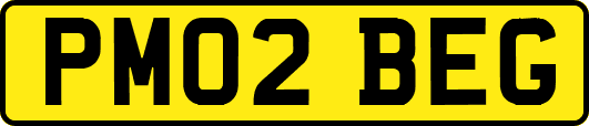 PM02BEG
