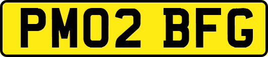 PM02BFG