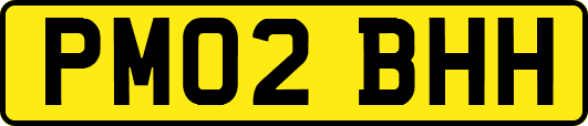 PM02BHH