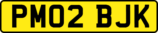 PM02BJK