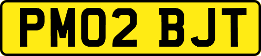 PM02BJT