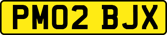 PM02BJX