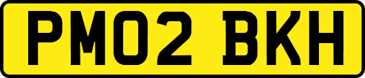 PM02BKH