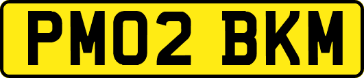 PM02BKM