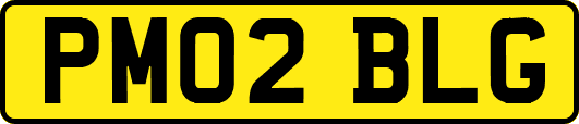 PM02BLG