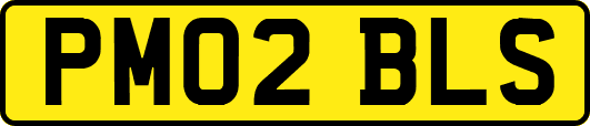 PM02BLS
