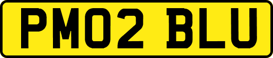 PM02BLU