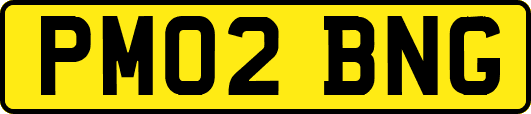 PM02BNG