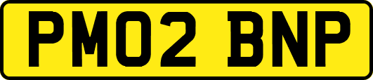 PM02BNP