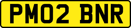PM02BNR