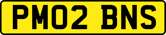 PM02BNS