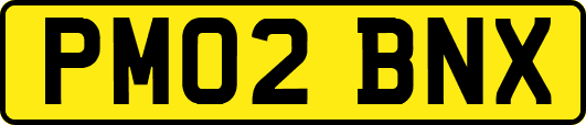 PM02BNX