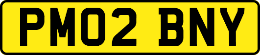 PM02BNY