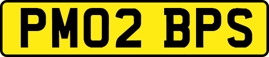 PM02BPS