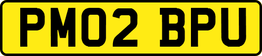 PM02BPU