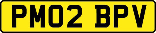 PM02BPV
