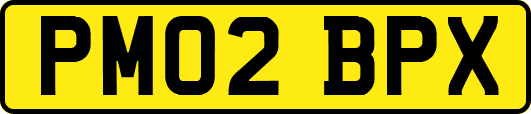 PM02BPX