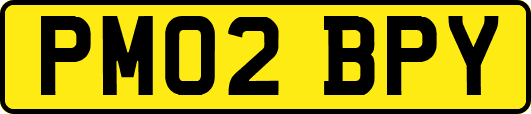 PM02BPY
