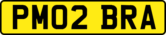 PM02BRA