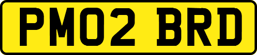 PM02BRD