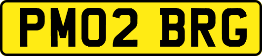 PM02BRG