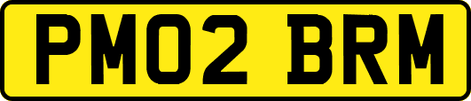 PM02BRM