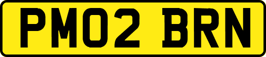 PM02BRN