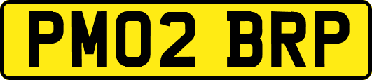 PM02BRP