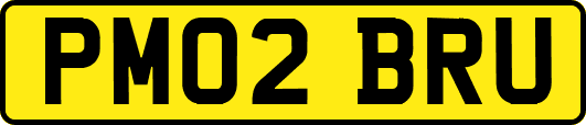 PM02BRU