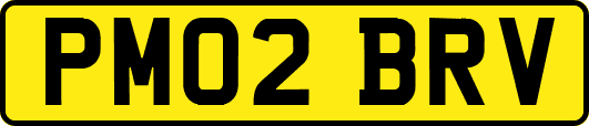 PM02BRV