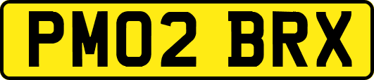 PM02BRX