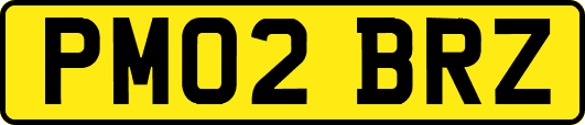 PM02BRZ