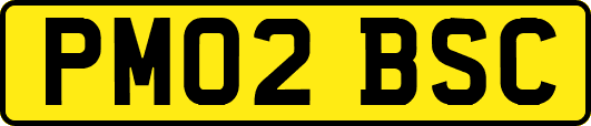 PM02BSC