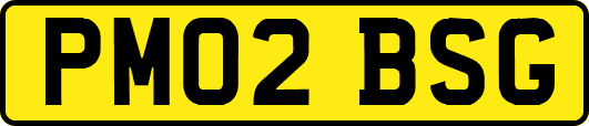 PM02BSG