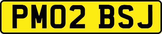 PM02BSJ
