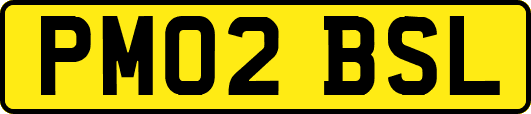 PM02BSL