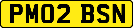 PM02BSN