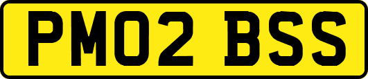 PM02BSS